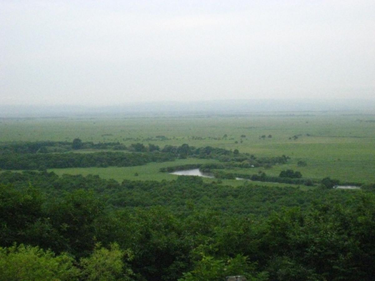 Green Park Tsurui Luaran gambar